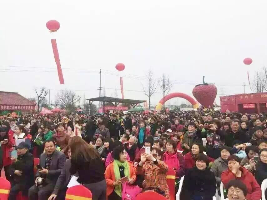 安徽雕塑，江蘇雕塑設計制作安裝休閑農(nóng)業(yè)雕塑